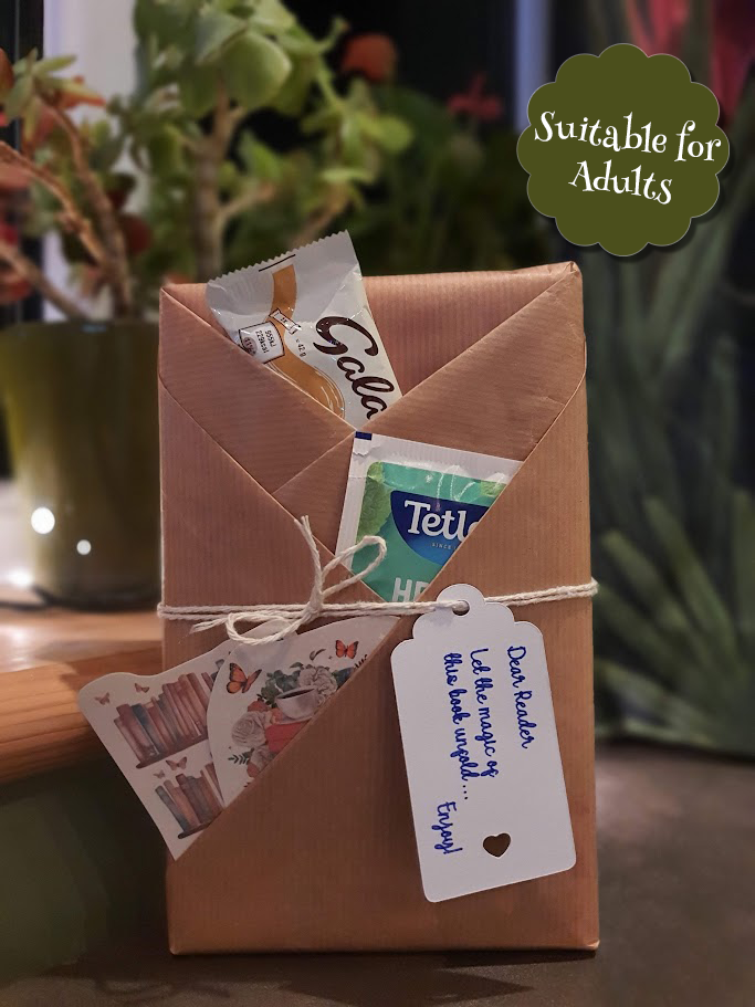 Once Upon a Second Time β Adults Surprise Preloved Book Box